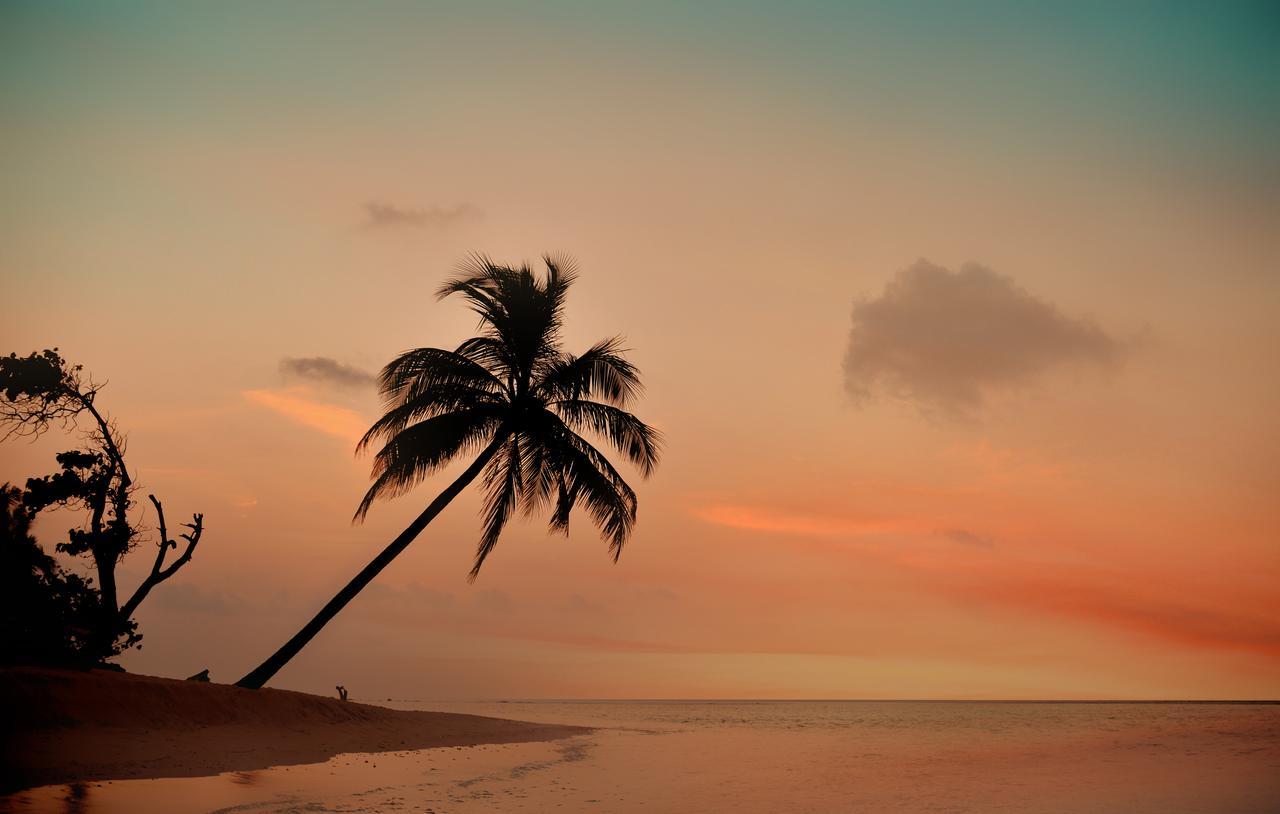 The Castaway Retreat Hotel Feridhoo ภายนอก รูปภาพ