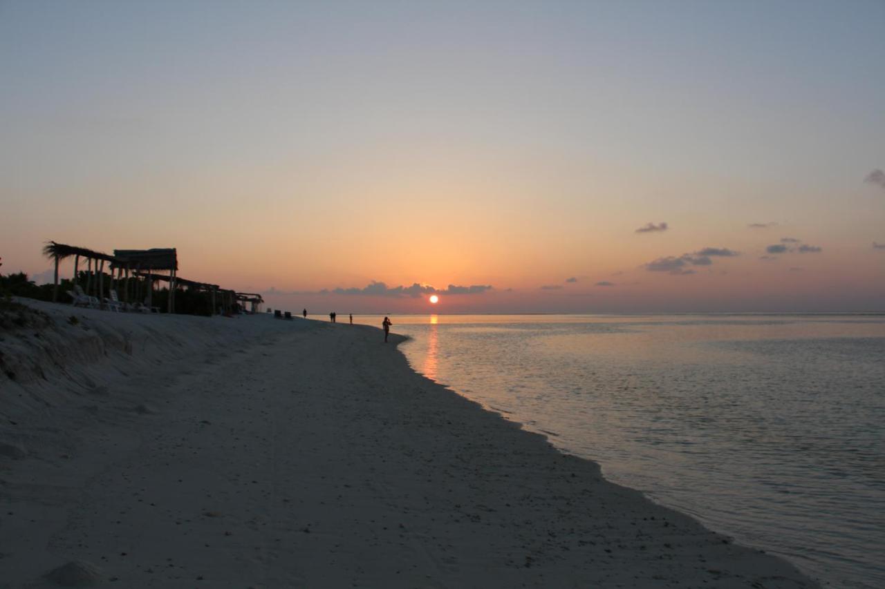 The Castaway Retreat Hotel Feridhoo ภายนอก รูปภาพ